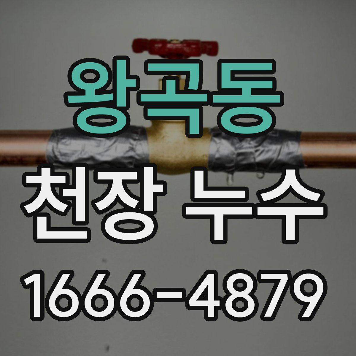 왕곡동 천장 누수