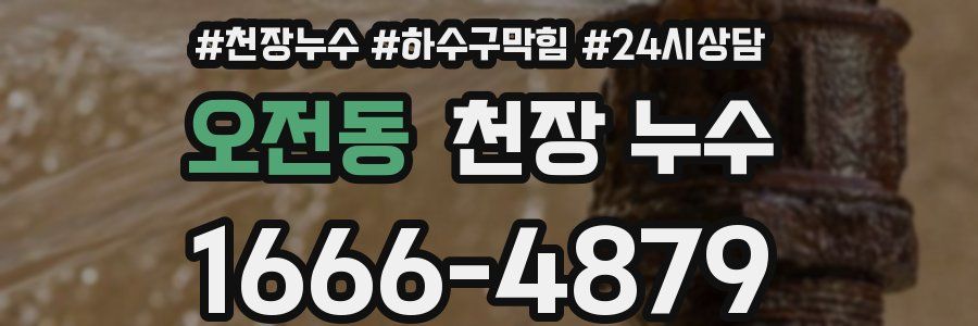 오전동 천장 누수