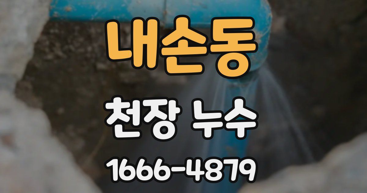 내손동 천장 누수