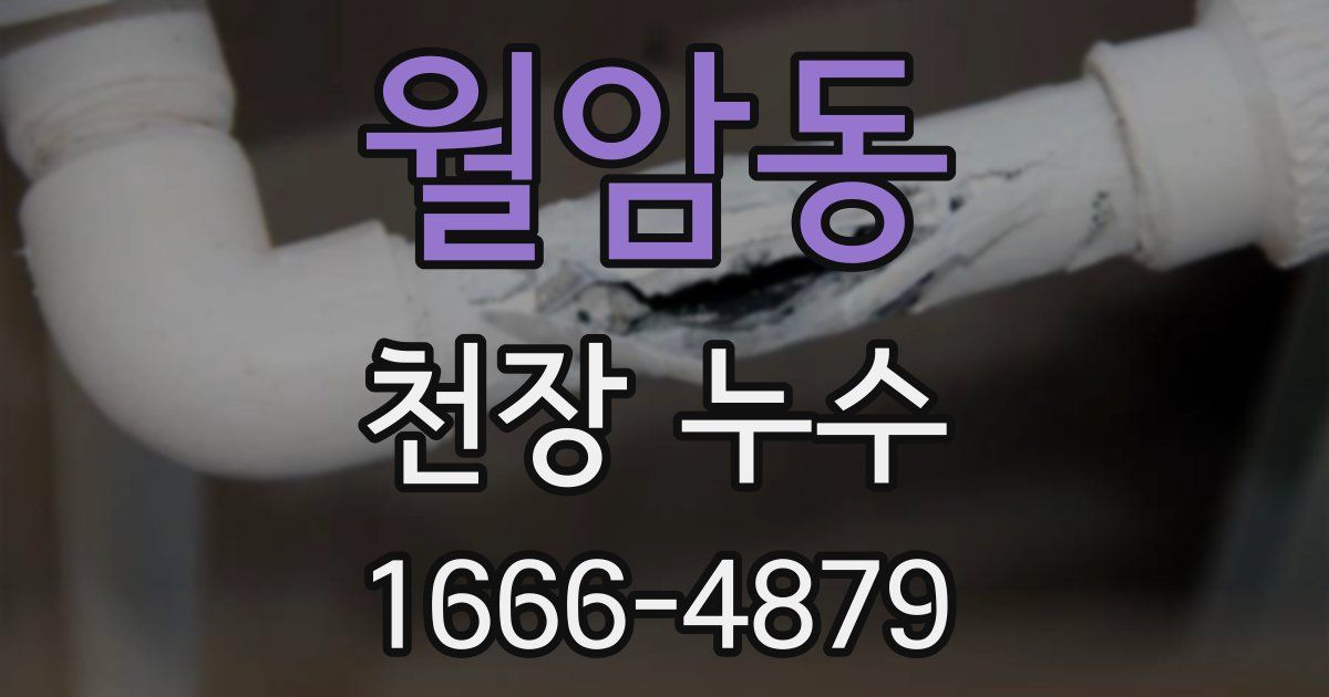 월암동 천장 누수