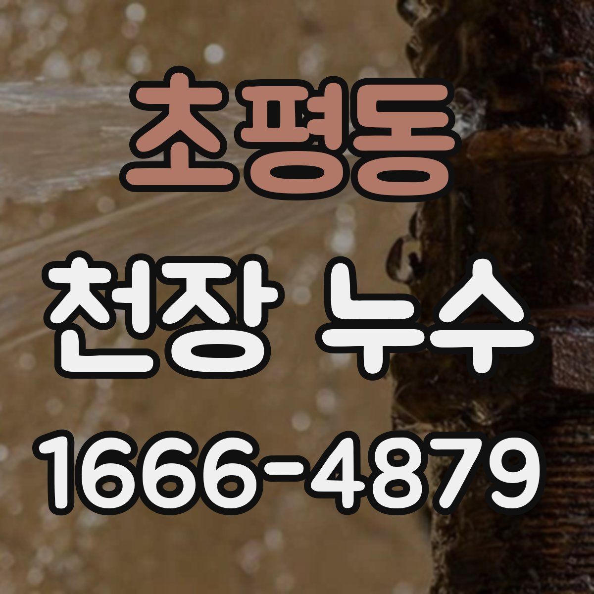 초평동 천장 누수 천장 코너만 젖으면 외부 유입일 가능성