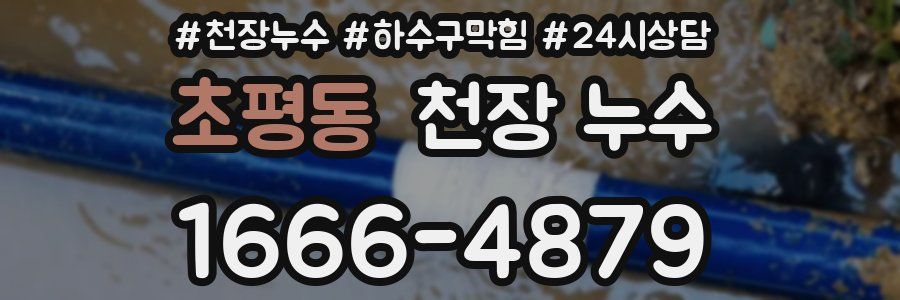 초평동 천장 누수