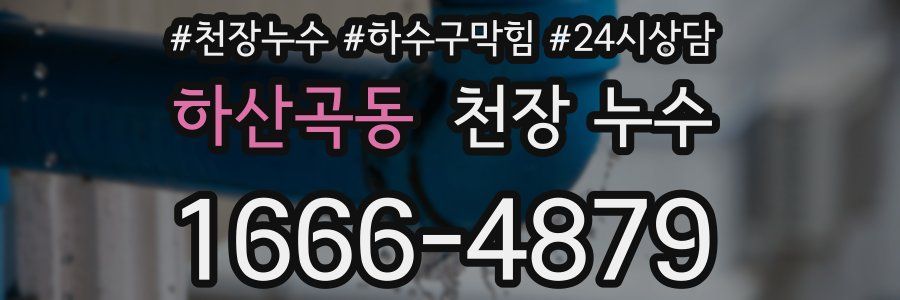 하산곡동 천장 누수