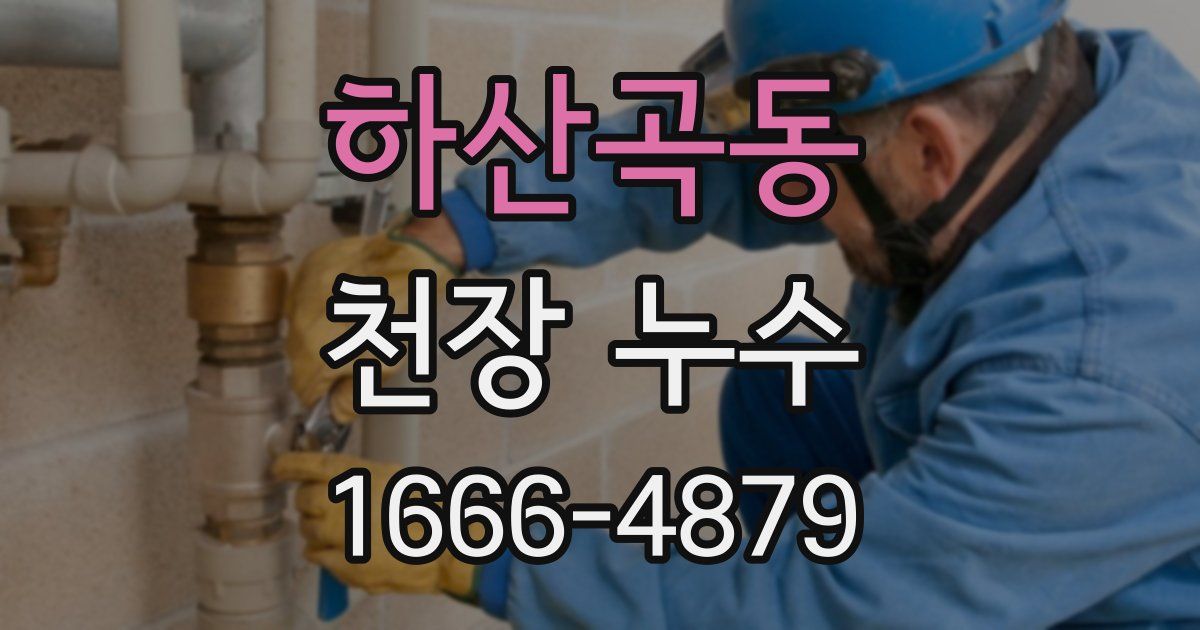 하산곡동 천장 누수