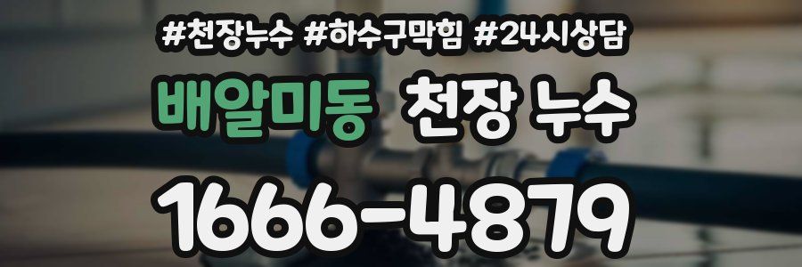 배알미동 천장 누수