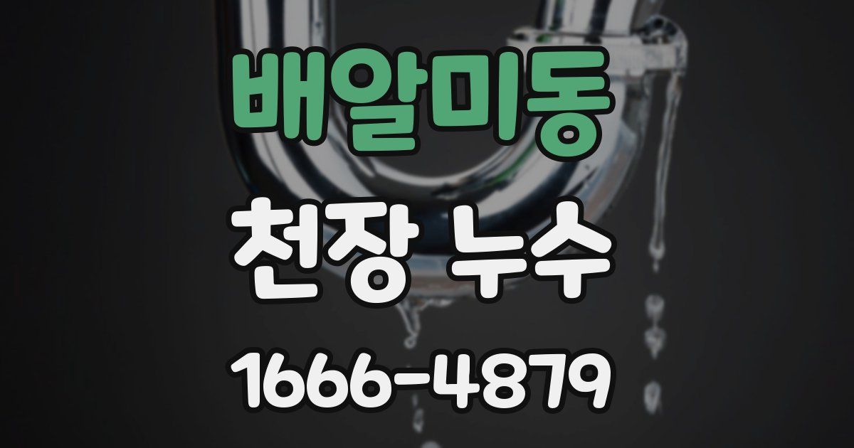 배알미동 천장 누수