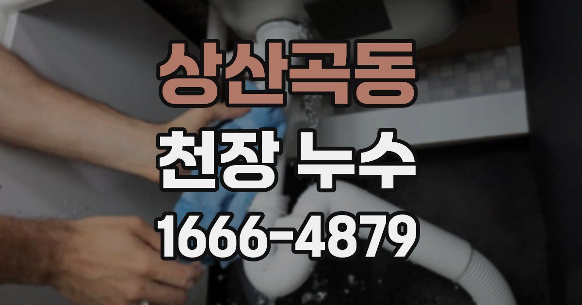 상산곡동 천장 누수