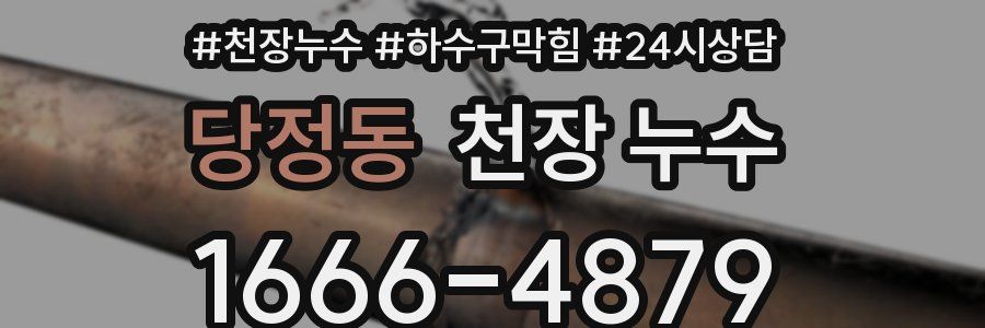 당정동 천장 누수