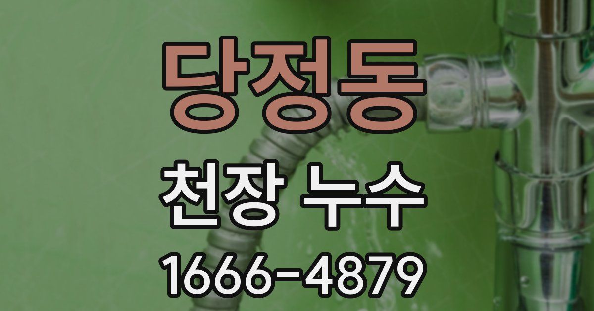 당정동 천장 누수