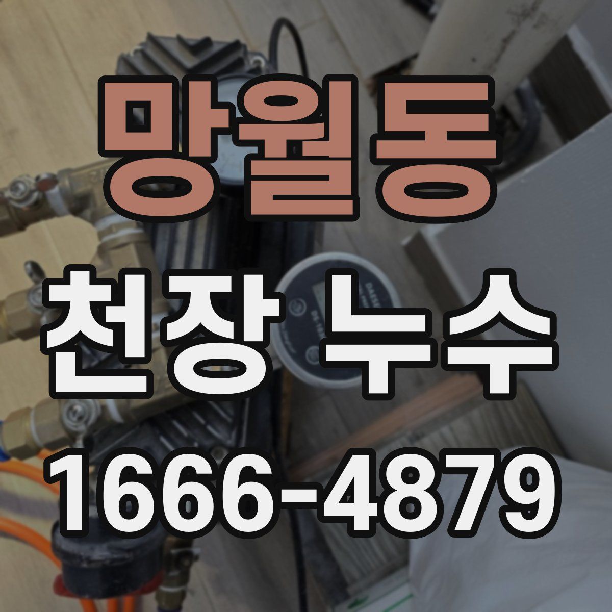 망월동 천장 누수