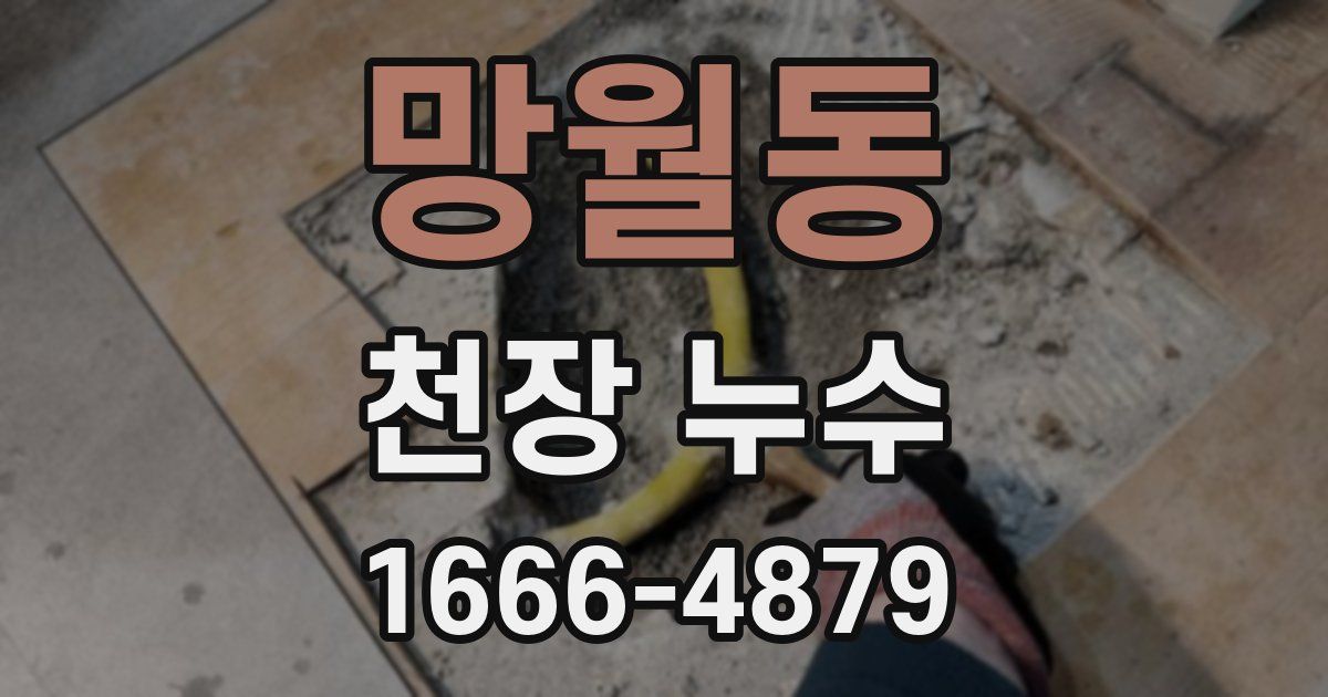 망월동 천장 누수