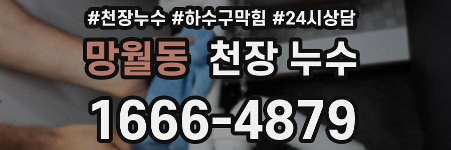 망월동 천장 누수