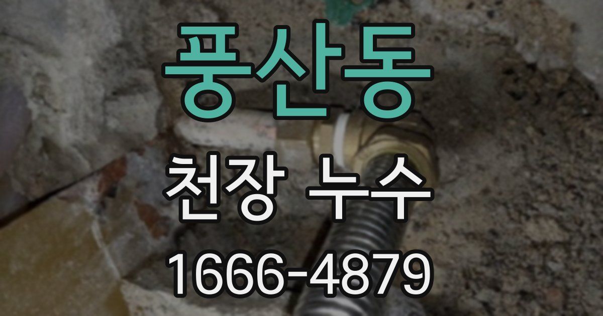 풍산동 천장 누수