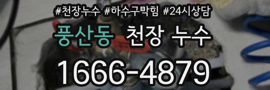 풍산동 천장 누수