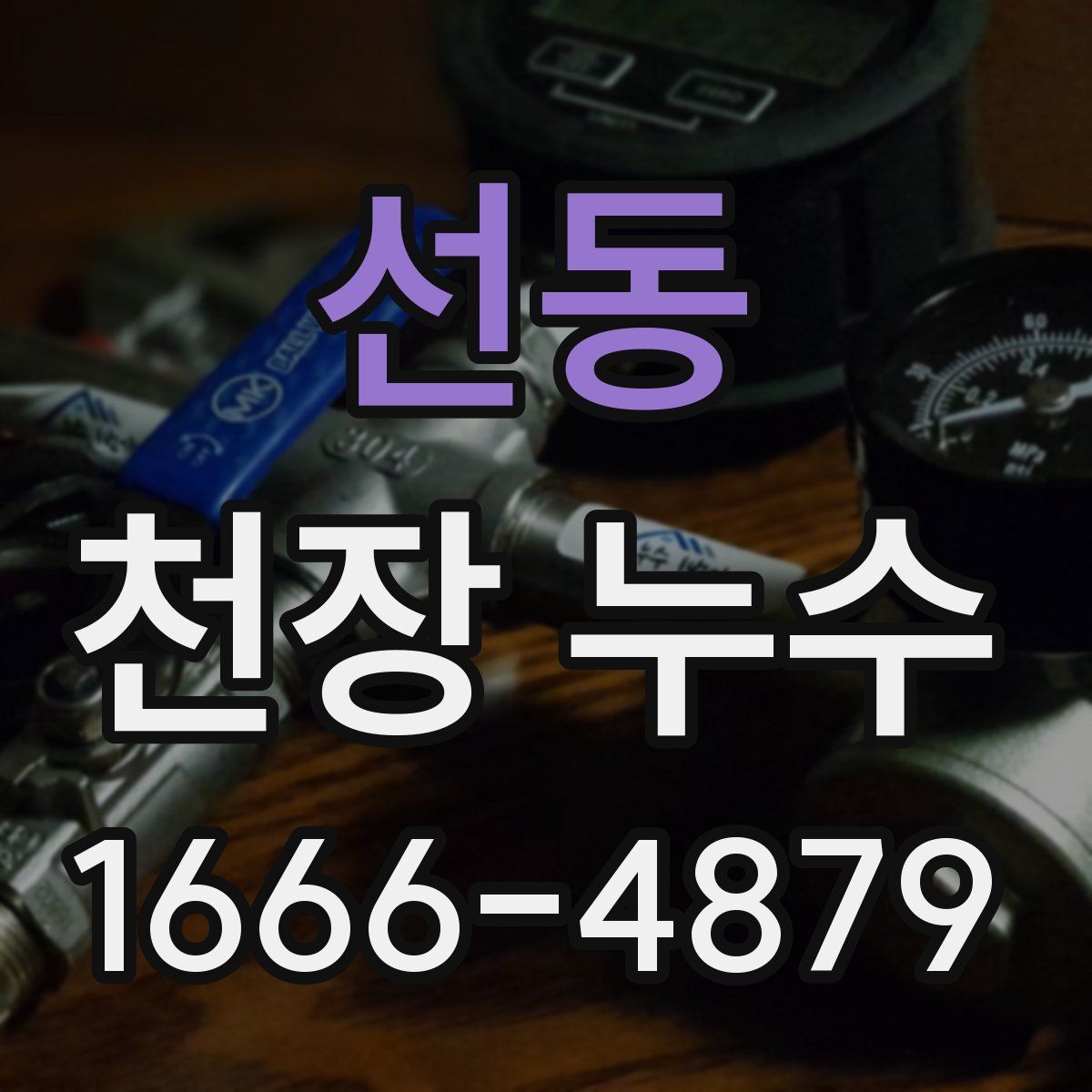 선동 천장 누수