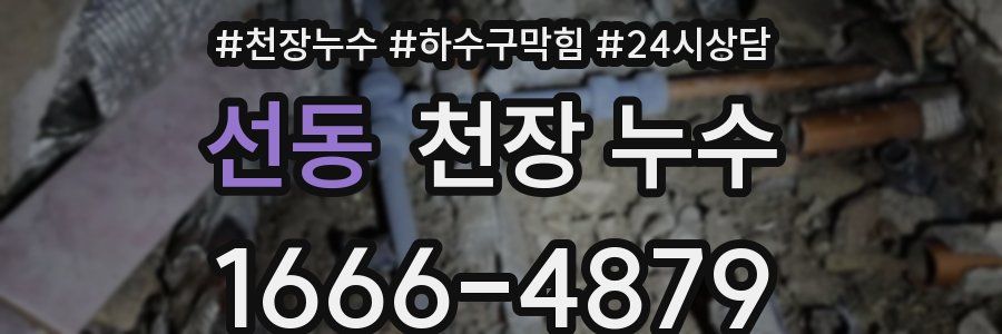 선동 천장 누수