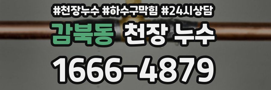 감북동 천장 누수