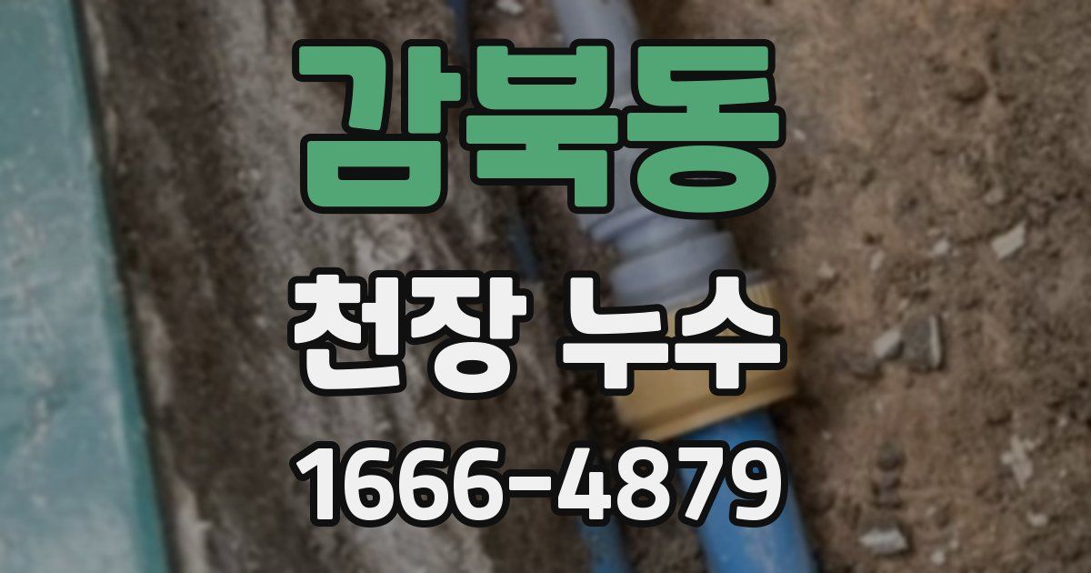 감북동 천장 누수