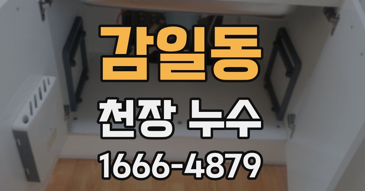 감일동 천장 누수