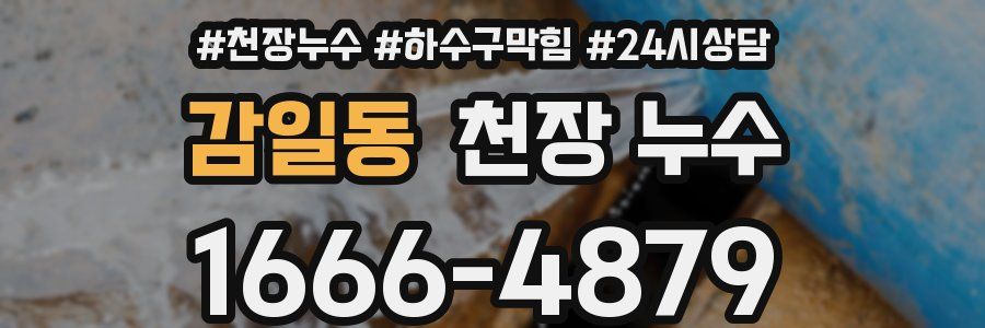 감일동 천장 누수