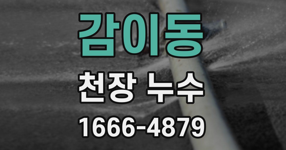 감이동 천장 누수