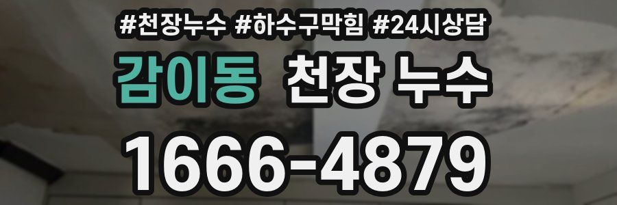 감이동 천장 누수