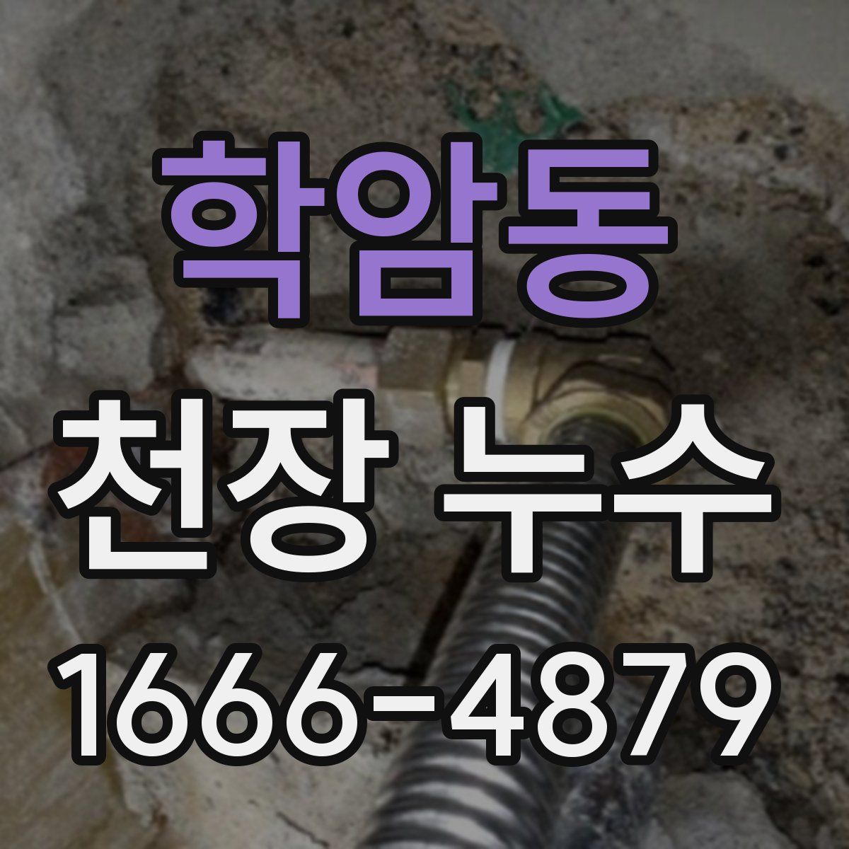 학암동 천장 누수