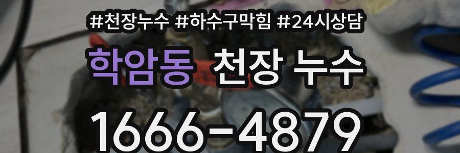 학암동 천장 누수