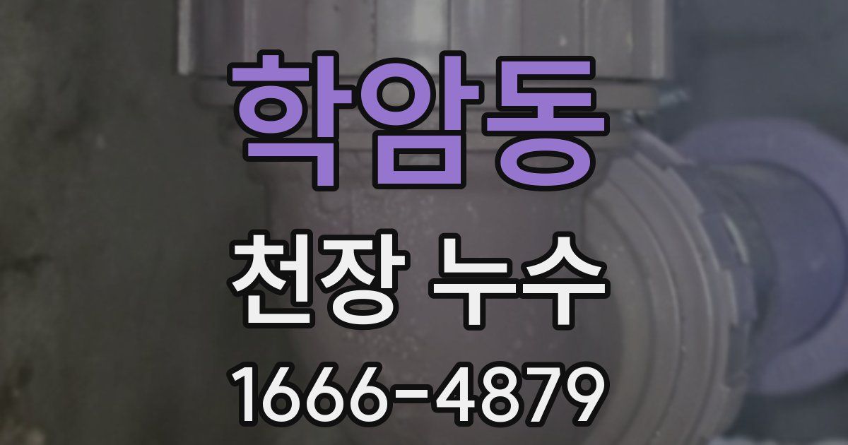 학암동 천장 누수