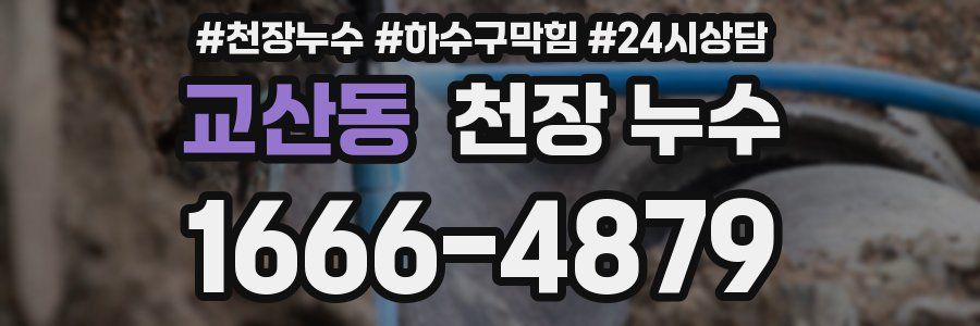 교산동 천장 누수