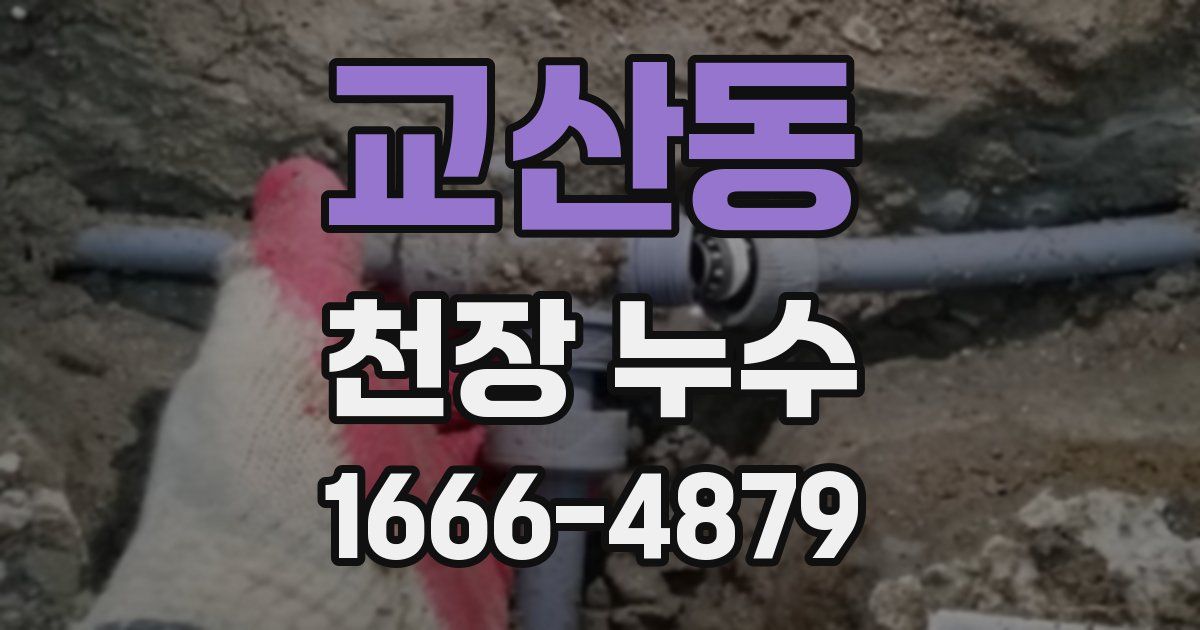 교산동 천장 누수