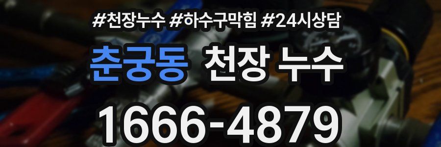 춘궁동 천장 누수