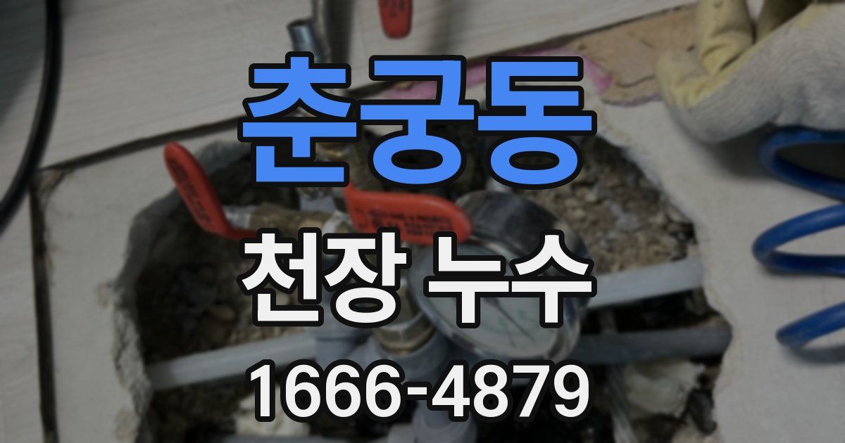 춘궁동 천장 누수