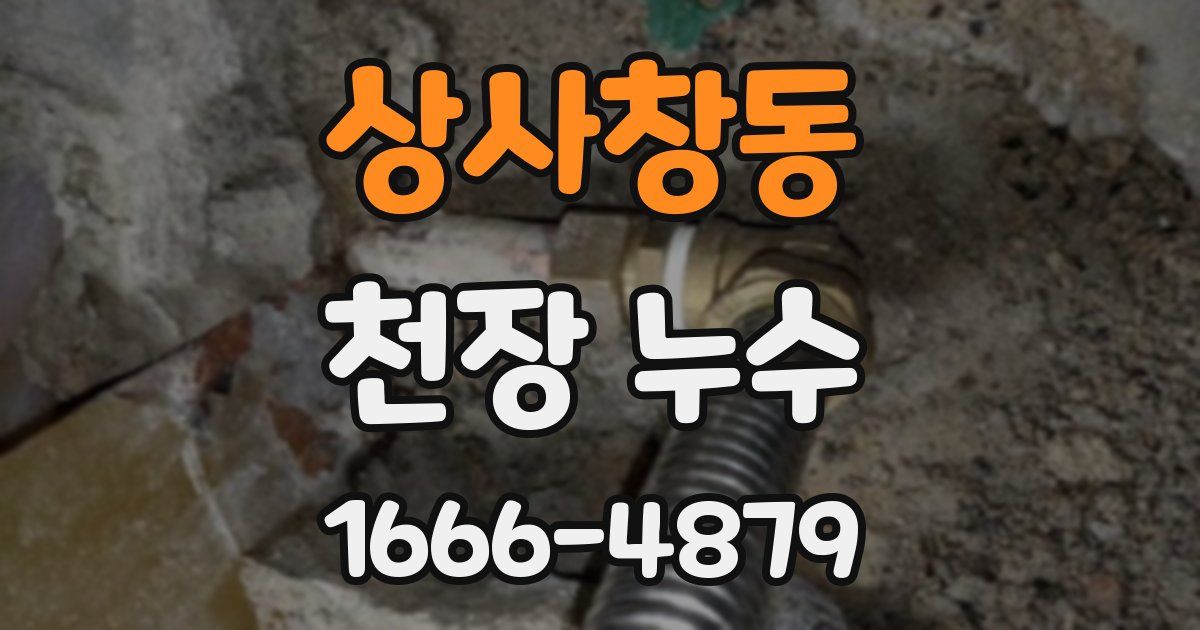 상사창동 천장 누수