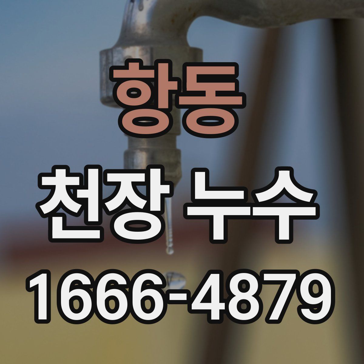 항동 천장 누수