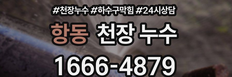 항동 천장 누수