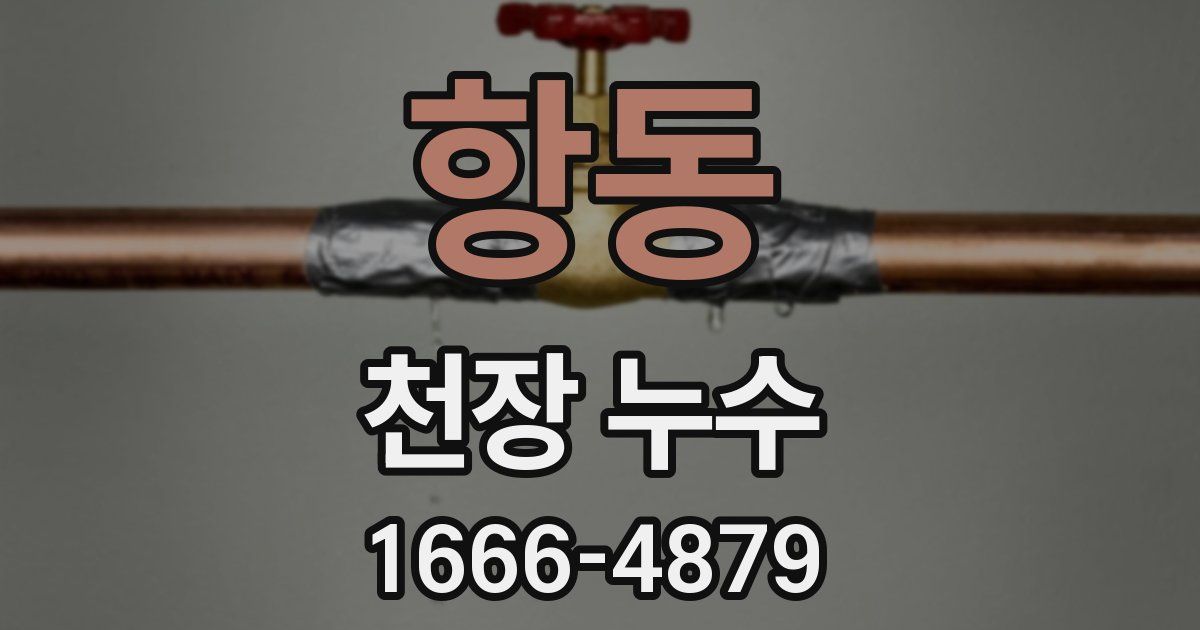 항동 천장 누수