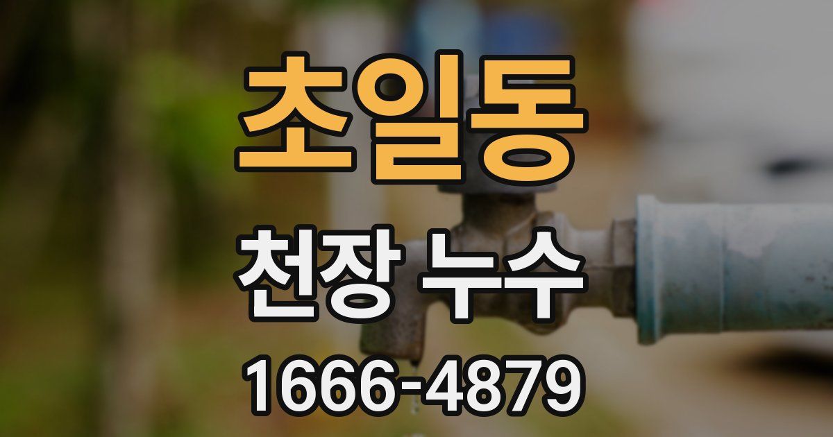 초일동 천장 누수