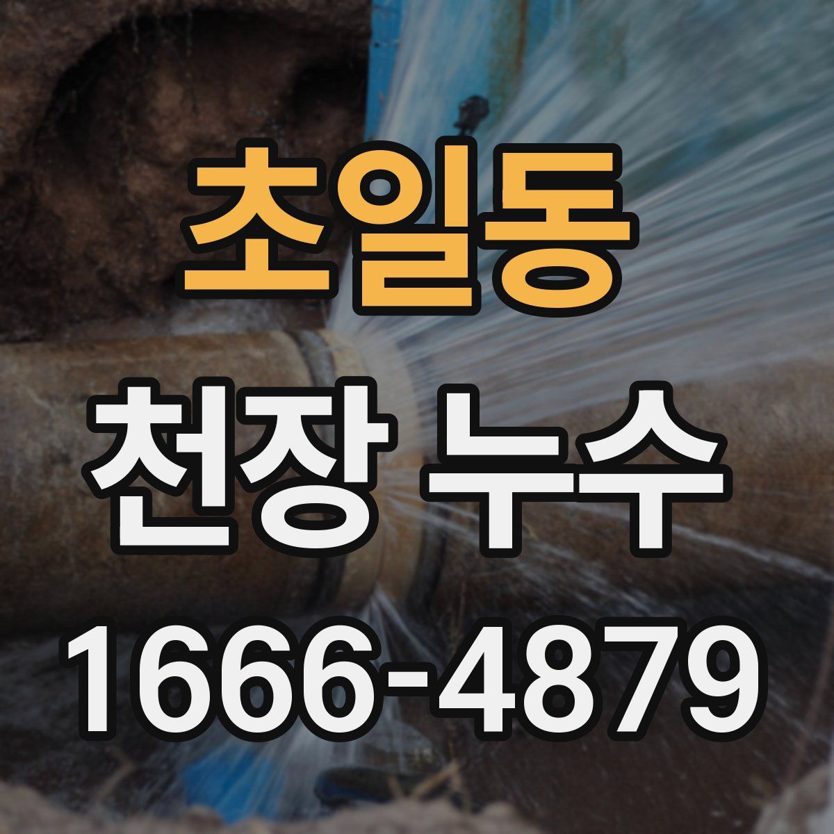 초일동 천장 누수