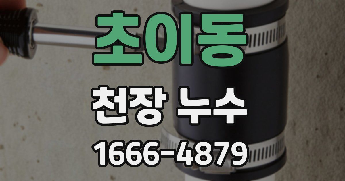 초이동 천장 누수