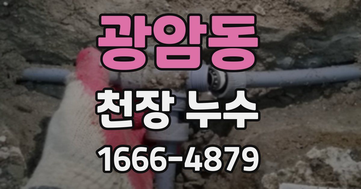 광암동 천장 누수