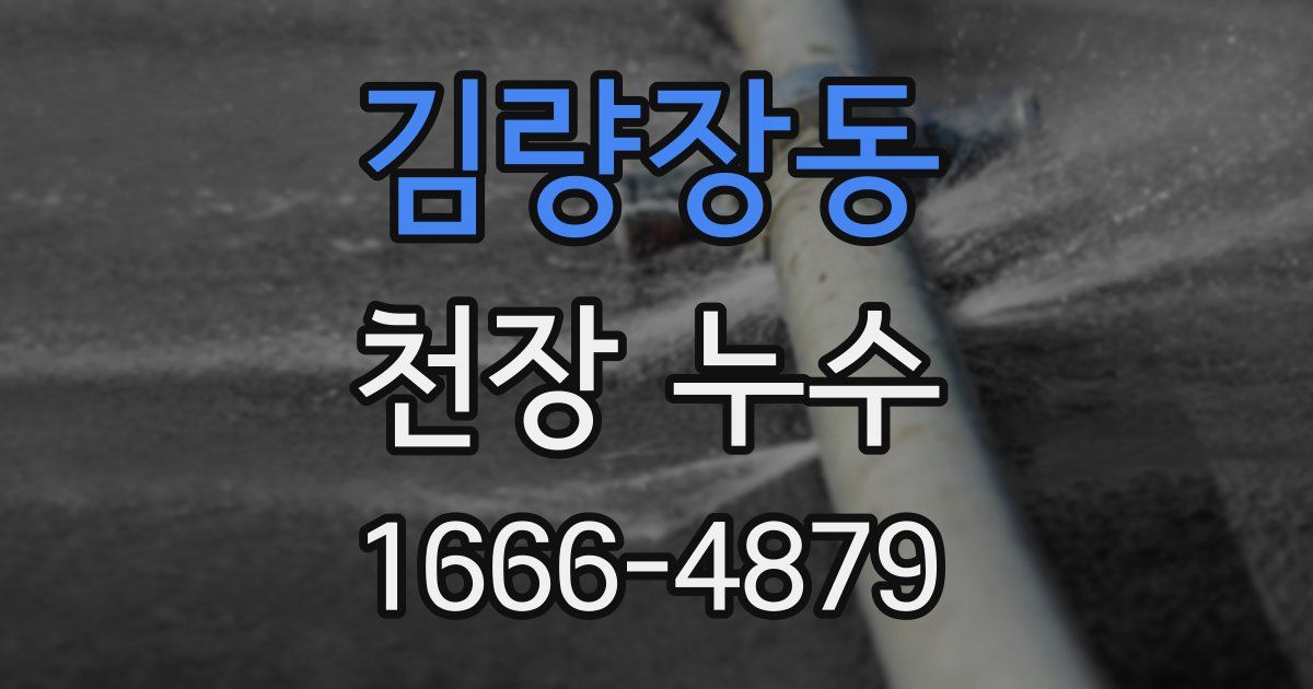 김량장동 천장 누수