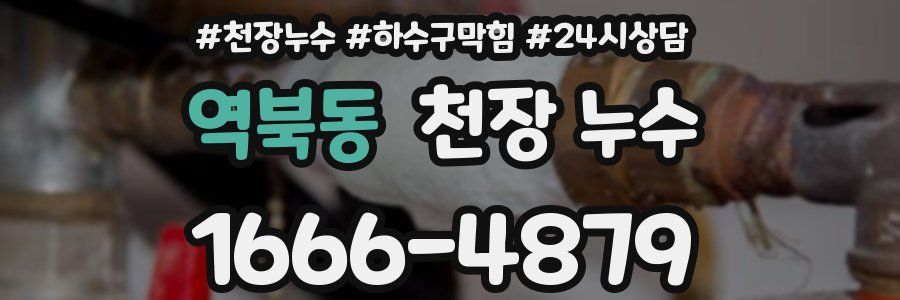 역북동 천장 누수