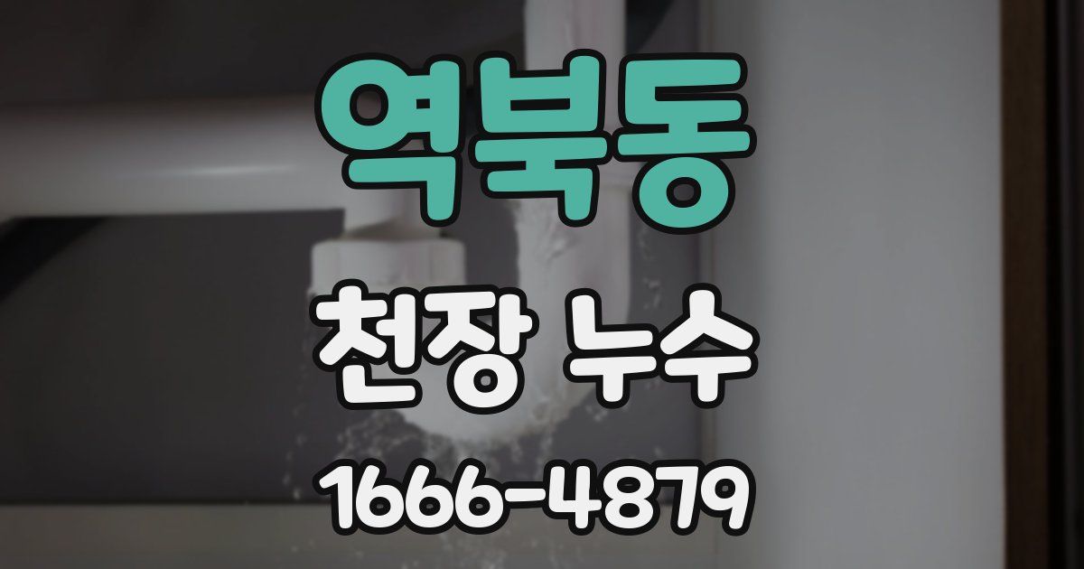 역북동 천장 누수