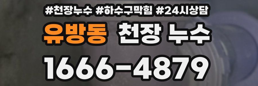 유방동 천장 누수