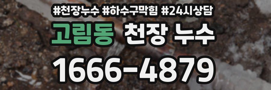 고림동 천장 누수