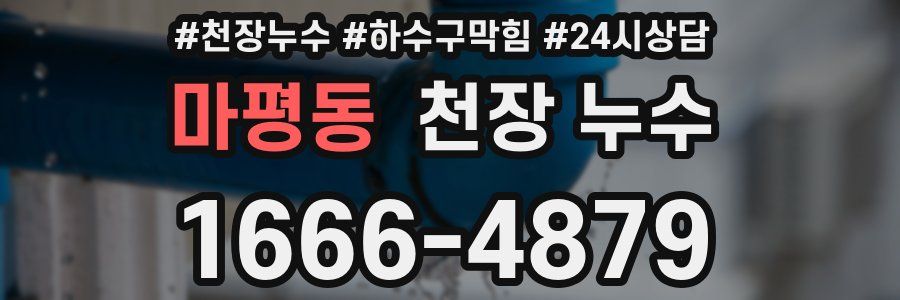 마평동 천장 누수