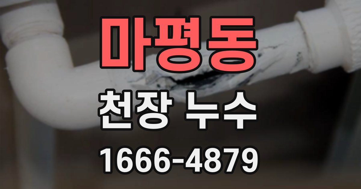 마평동 천장 누수