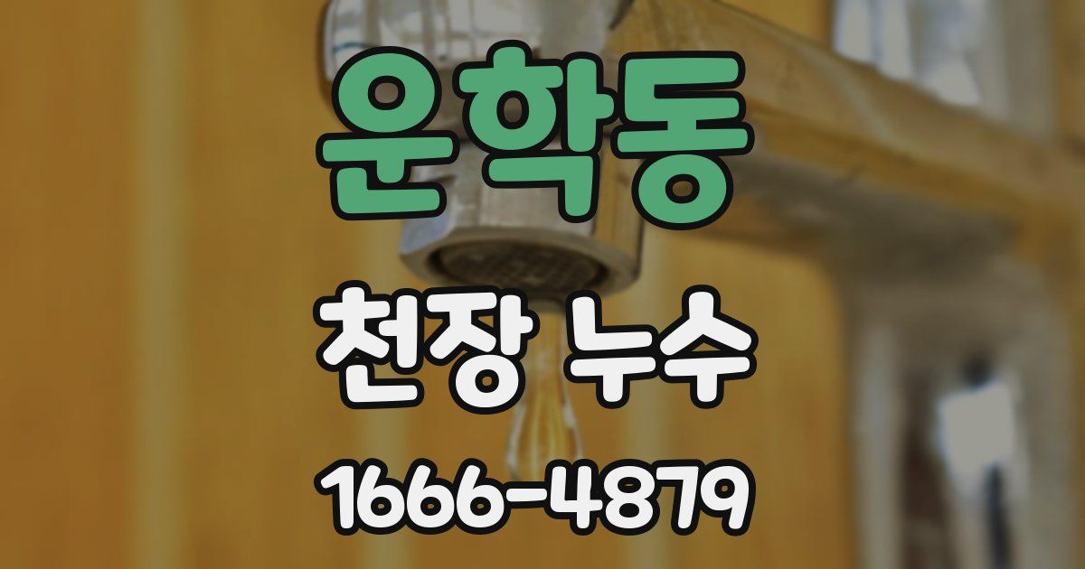 운학동 천장 누수