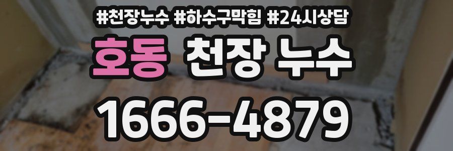 호동 천장 누수